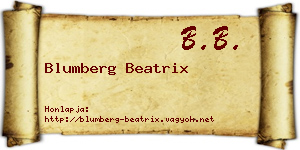 Blumberg Beatrix névjegykártya